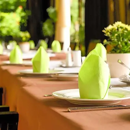 Lindenhof Tepe Hotel 4*