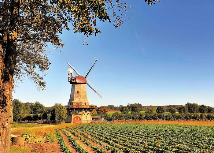 Lindenhof Tepe 4* دام