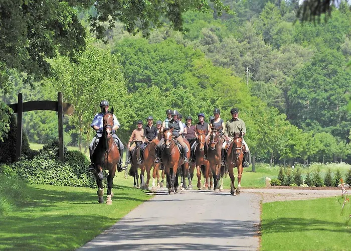 Lindenhof Tepe فندق